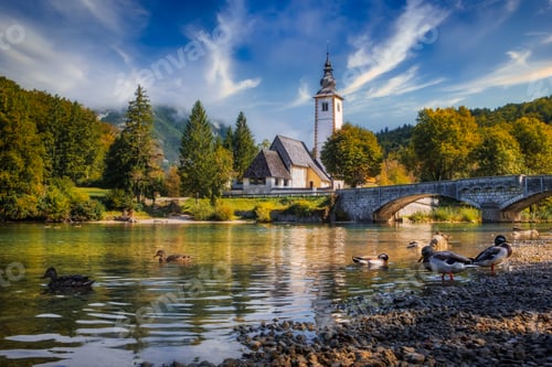 Preview: Scenic view of Lake Bohinj church with beautiful colorful foliage, Slovenia