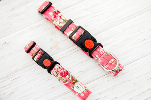 Preview: Dog Collar and Leash set. Pet Supplies and Walking Gear Collection