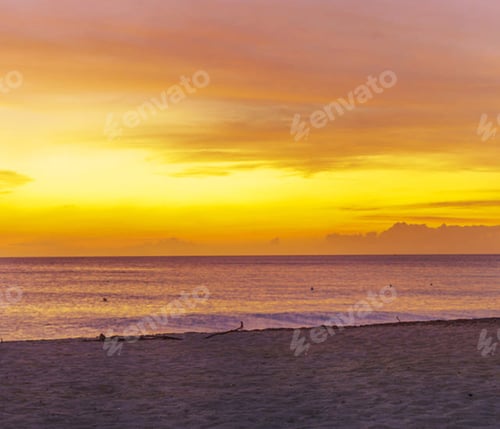 Preview: A Beautiful Aruba picture of World