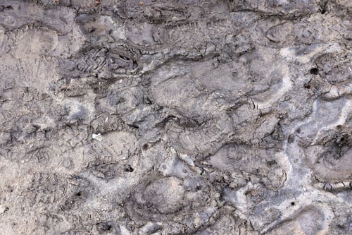 Preview: Foot mark on the jungle trail. Shoe prints on wet gravel or mud in mountain area