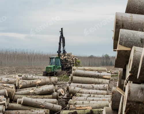 Preview: cranes for logs and woodpiles