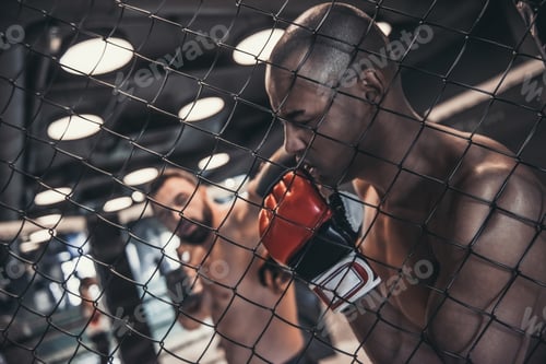 Preview: Wrestlers in the ring