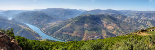 Preview: Amazing views of Douro vineyards from Sao Leonardo De Galafura viewpoint, Portugal
