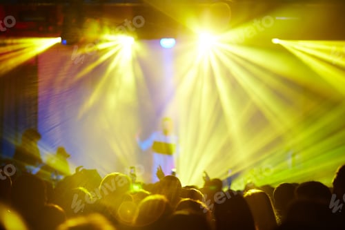 Preview: Crowd at concert