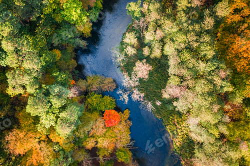 Preview: Top view of river and colorful forest, aerial view