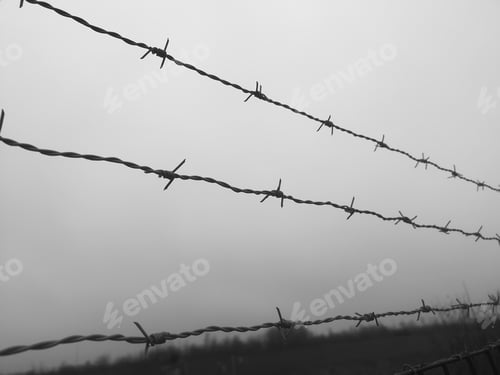 Preview: Barbed wire fence in black and white, with grey sky background