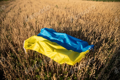 Preview: Food crisis during the war, sanctions concept. Ukraine flag on oat field.
