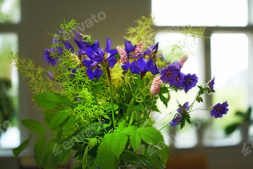 Preview: My garden
