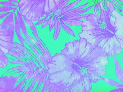 Preview: Colorful hibiscus flower painting