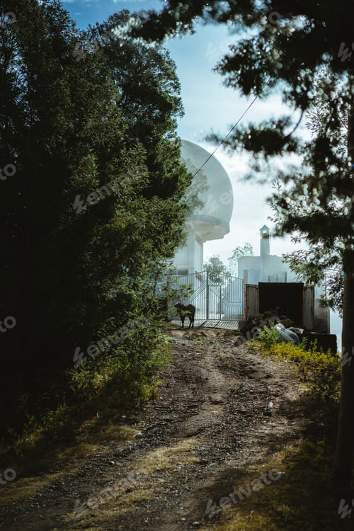 Preview: View of a weather station with a large white sphere in coniferous forest on an early morning