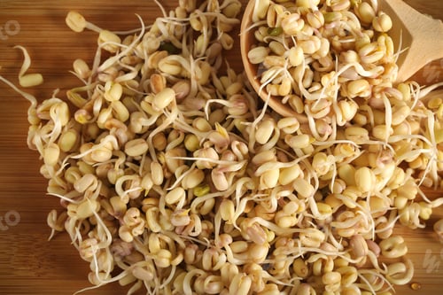 Preview: Oatmeal Peeled With Young Sprouts Stands On A White Background