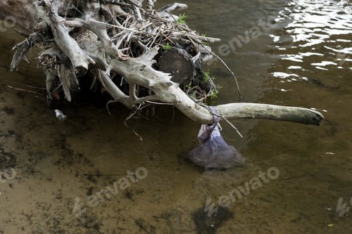 Preview: plastic bag and lumber in dirty water at river