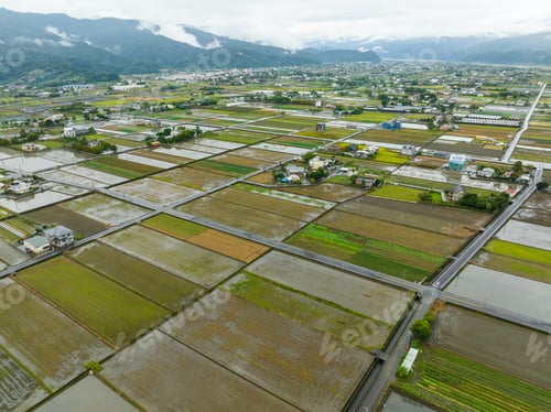 Preview: Top view of the field in countryside of Yilan of Taiwan