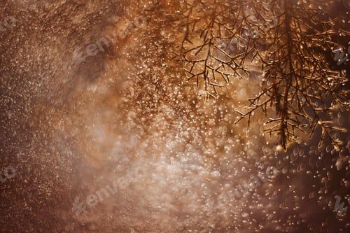 Preview: Long summer dry grass against a sunset. Nature background