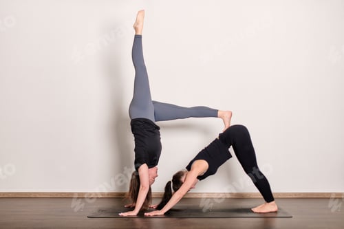 Preview: Partners in yoga display balance and flexibility
