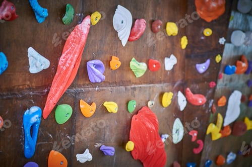 Preview: Wooden wall with climbing holds in gym