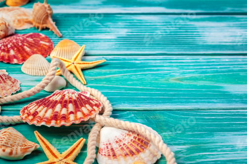Preview: Different sea shells on color wooden background