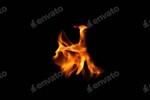 Preview: fire flames. Eagle silhouette Fire embers particles over black background. Fire sparks background. A