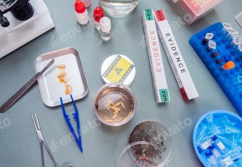 Preview: Analysis of larvae from corpse involved in murder in crime lab, conceptual image