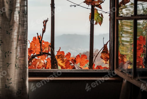 Preview: Idyllic view through wooden window of a cabin in autumn.