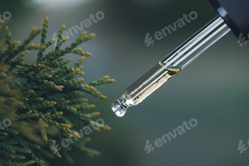 Preview: Pipette with essential liquid of pine