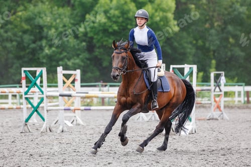 Preview: Young woman horseback riding on her show jumping course