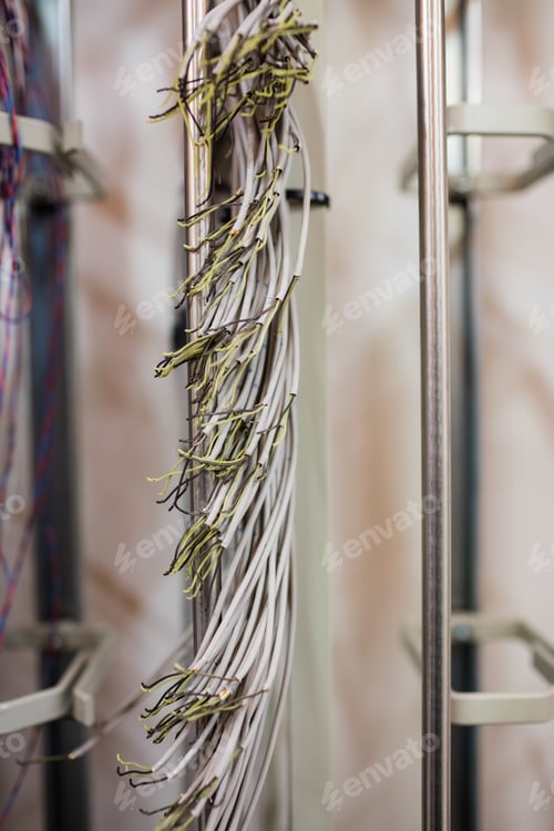 Preview: Close-Up Of Optic Fiber Cable In Server Room