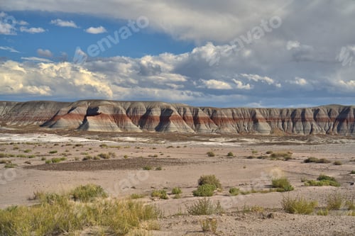 Preview: Petrified Forest National Park in Arizona USA