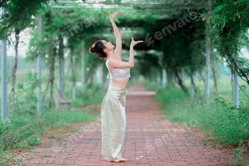 Preview: chinese dancing