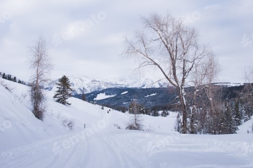 Winterwunderland