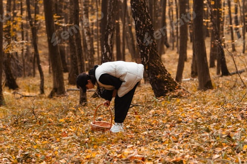 Preview: woman with basket looking for mushrooms in autumn forest