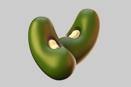 Preview: Mung beans with seeds