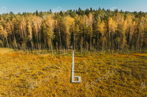 Preview: Belarus, Berezinsky Biosphere Reserve. Bird's-eye View Of Wooden path way pathway from marsh