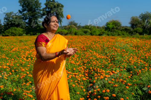 Preview: Indian woman collect marigold flower in beautiful garden.