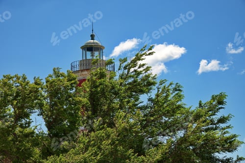 Preview: Top of the lighthouse behind the tree against blue sky