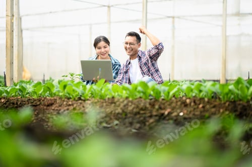 Preview: Happy farmers celebrating success in smart farming while viewing results on a laptop