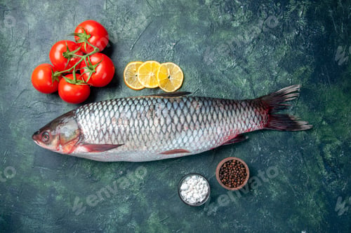 Preview: top view fresh raw fish with tomatoes and lemon slices on dark blue background shark seafood meal