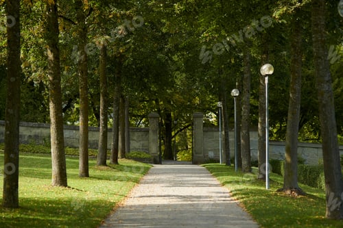 Preview: Footpath in a park lined with green trees