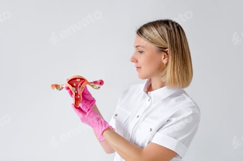 Preview: Gynecologist demonstrates an model of uterus as visual aid for students to study