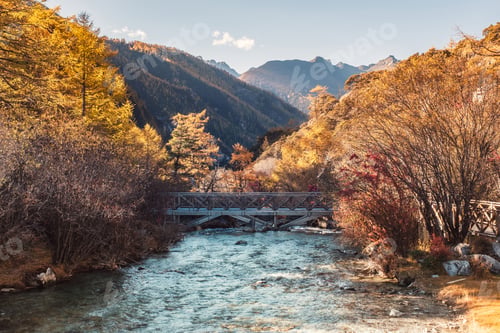 Preview: Cross bridge in golden pine forest in valley at Yading