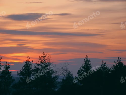 Preview: The sky over the evening forest.