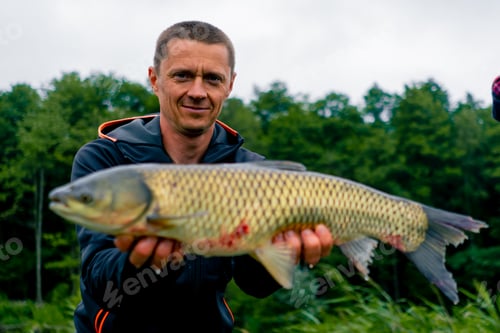 Preview: satisfied professional fisherman holding a carp on bank of a river fishing in a pond with good catch