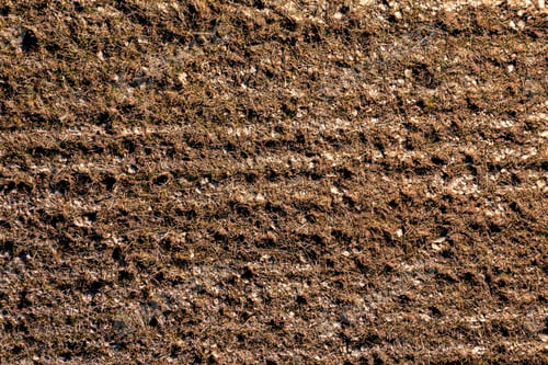 Preview: Close-up of soil surface texture. Abstract background and texture for design.