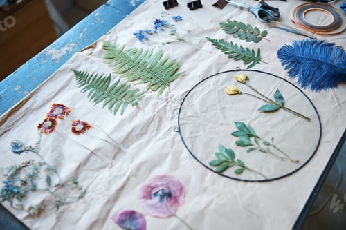 Preview: Herbarium of various plants and flowers on table in workshop