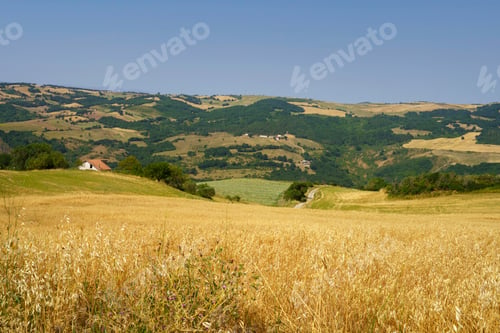 Preview: Country landscape in Avellino province, Campania, Italy, at summer