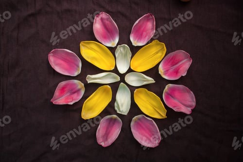 Preview: flower