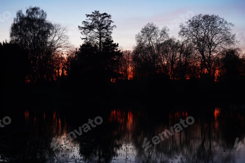 Preview: sunset over lake with silhouette of bare trees