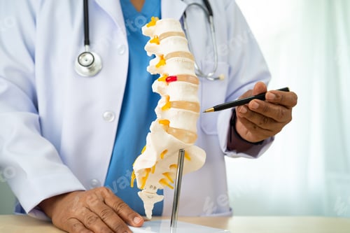 Preview: Doctor with lumbar vertebra bone skeleton and nerve model