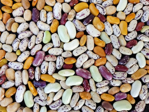 Preview: High angle shot of heap of colorful kidney beans, Heap of colorful raw kidney beans (legumes)