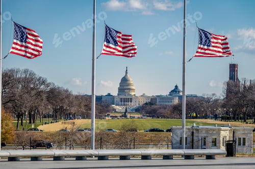Preview: American Flags with US Capitol on background - Washington, D.C., USA